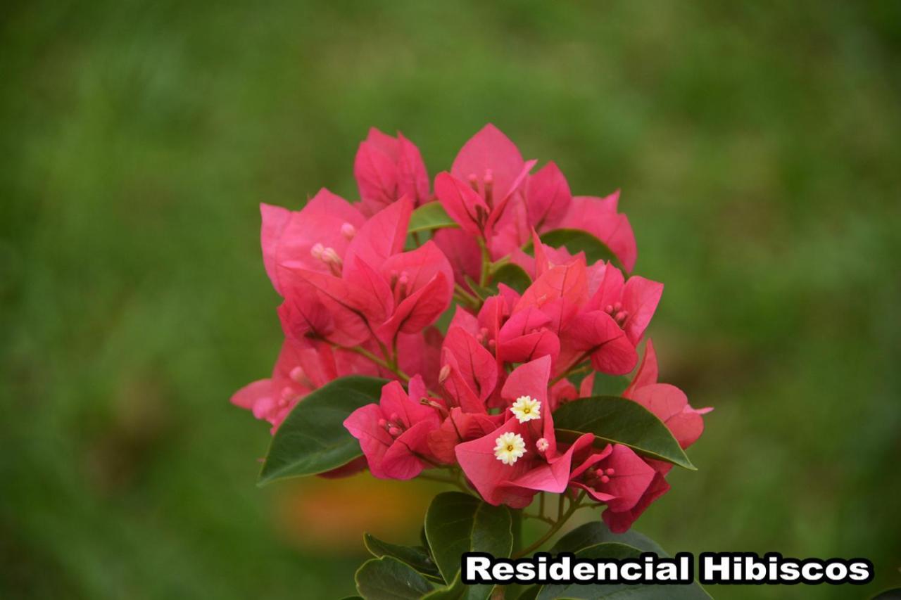 Residencial Hibiscos - Vista Mar Villa Garopaba Exteriör bild